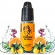 Eliquide Orange 10ML Sensation Le vaporteur Breton