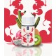 Concentré Fruit du Dragon Kiwi Cactus Oki Fruit