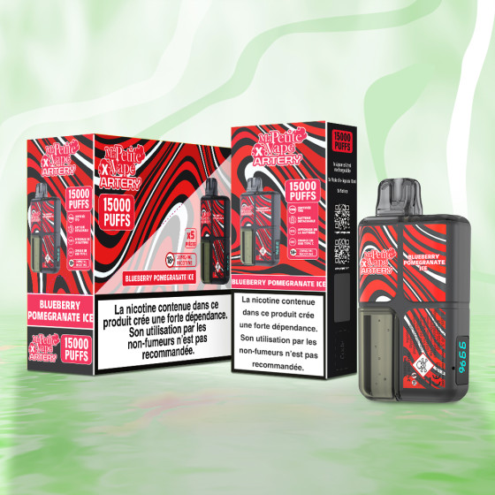 Ma petite vape x Artery 15000 puffs (Pack de 5)