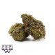 Fleur HEC 10 -Lady Banana
