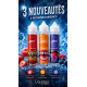 E liquide Framboise bleue 50ml Liquideo Freeze